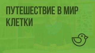 Путешествие в мир клетки. Видеоурок по окружающему миру 4  класс