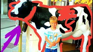 VLOG:  ПУШИСТАЯ СКАЗКА!
