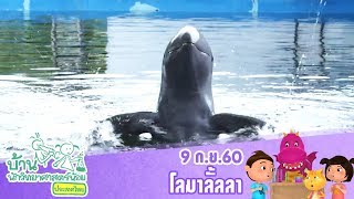 บ้านนักวิทยาศาสตร์น้อย  : โลมาลั้ลลา (9 ก.ย. 60)