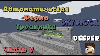 Выживание на SkyBlock на сервере #5 Как построить автоматическую ферму тростника