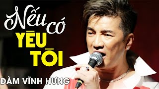 NẾU CÓ YÊU TÔI - Đàm Vĩnh Hưng