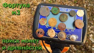 ФОРТУНА м3 в поисках монет и древностей по выбитым местам