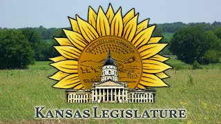 Senate Session Live HD - 2/7/2020