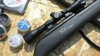 Идеальное оружие на ворон и сорок.  Зачем мелкашка ...? винтовка Gamo Shadow?