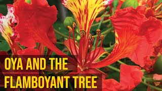 Oya and the Flamboyant Tree | Yeyeo Botanica