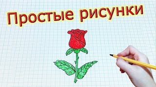 Простые рисунки #185 Как нарисовать РОЗУ