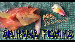 2018年10月 沖縄 慶良間諸島 阿嘉島 船釣り体験 第一天 Okinawa Fishing Day 1 of 3 ハヤブサ 貫撃 遊動