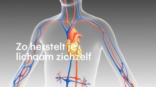 Zelfherstellende organen: zo werkt het - RTL NIEUWS