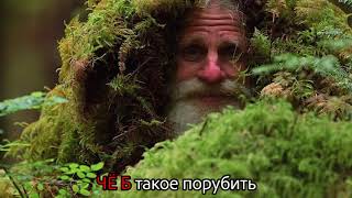 Chop. Английский язык. Учим английские слова методом ассоциаций. Выпуск 78