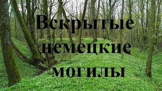 ВСКРЫТЫЙ СКЛЕП СРЕДИ ЛЕСА/КОПАЕМ МОНЕТЫ/ЕСТЬ СЕРЕБРО!!! КОП ПО ВОЙНЕ/WW2 METAL DETECTING