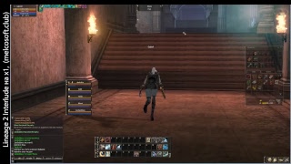 Играем в Lineage 2 Interlude на х1,  (melcosoft.club), качаю дестера на РБ 28лвл+