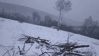 Сплошная вырубка леса на Гумеровском участке известняков