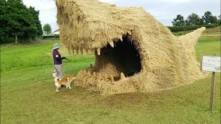 Необычные оригинальные скульптуры из соломы и сена
