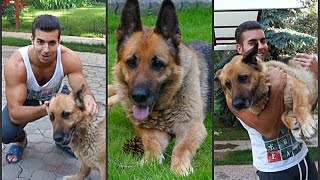 МОЯ МИЛАЯ СОБАКА | НЕМЕЦКАЯ ОВЧАРКА