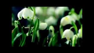 DreamUnity - Lebe deinen Traum