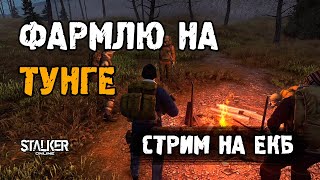 Stalker Online [ Stay Out ]. Фармлю на Тунге. Стрим на ЕКБ сервере.