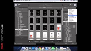 Видео-курс «Основы обработки в Lightroom»