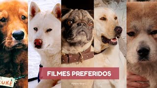 5 filmes com cachorro que eu AMO