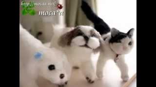 子犬マルチーズ,Maltese,Custom-made stuffed toy,定做毛绒玩具,Por encargo de peluche