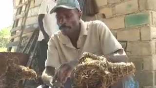 Yon Rudolphe ayisyen - HAITI