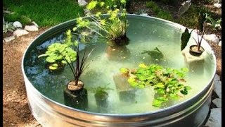 Делаем пруд в саду. Для рыбок и растений