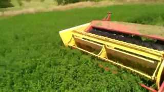 Cutting Alfalfa For Hay, Part 1 of 8