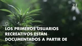 Así llegó la marihuana a México