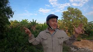 tin mới 12/2 cuộc truy tìm " tuấn khỉ " CSCĐ sau 15 ngày quây bắt | vlogs trúc ngân