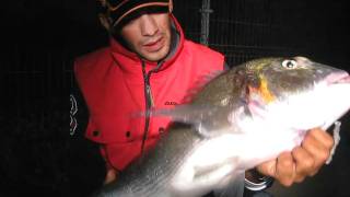 ΨΑΡΕΜΑ ΤΣΙΠΟΥΡΑΣ 5.5kg Fishing Surf Casting