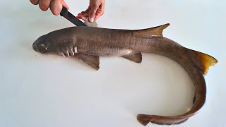 Готовлю АКУЛУ в Таиланде! Пытаюсь разделать акулу)