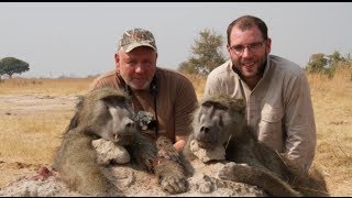 Hunting Baboons in Zimbabwe