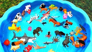 Learn Colors With Animals Pool Show for Children - Colours With Elephant and Cow for Kids