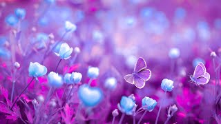 Enhance Deep Positive Energy | 528Hz Miracle Tones | Ancient Frequency Healing | Love Self Healing