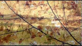 Keeping the dream alive - Freiheit (Cover)