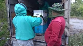 Носилки для переноски ульев