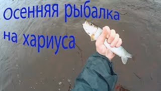 Осенняя рыбалка на кораблик. Ловим хариуса на мушки 2019