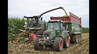 Fendt Katana 65 & Kemper Champion 460 | Mais Silage 2018 | Rinetta Team