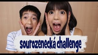 Sourozenecká challenge