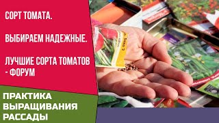 Сорт томата  Выбираем надежные  Лучшие сорта томатов   форум