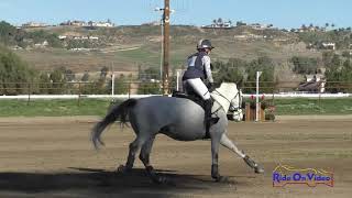 068XC Chloe Smyth on Gunness on Draught Open Training Cross Country Galway Downs Feb. 2020