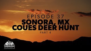Was this the best trip of the year? - Ep.37 - Sonora Coues Deer Hunt