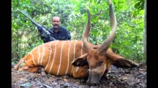 animales en peligro de extincion