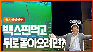 [엉터리뷰 골프실험] 스크린에서 뒤로 돌아오는 백스핀샷 실제로 가능? 초보자들이 놓치기 쉬운 백스핀 많이 주는 방법까지! (feat. pingpong golf)