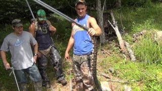 Timber Rattlesnake and Northern Copperhead Hunting 2012