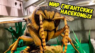 28 ВЕЩЕЙ, КОТОРЫЕ ВЫ УВИДИТЕ ВПЕРВЫЕ
