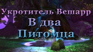 Как победить укротителя Вешарра в два питомца