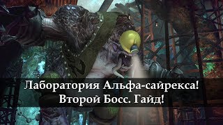 Лаборатория Альфа-сайрекса. Второй Босс. Гайд. TERA Online