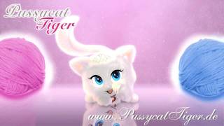 Pussycat Tiger - Du kleiner Tiger