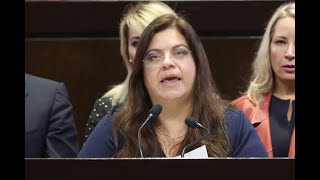 Dip. Hortensia Noroña (PRI) - Postura de su grupo parlamentario sobre feminicidios