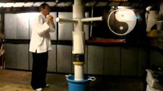Bagua dummy